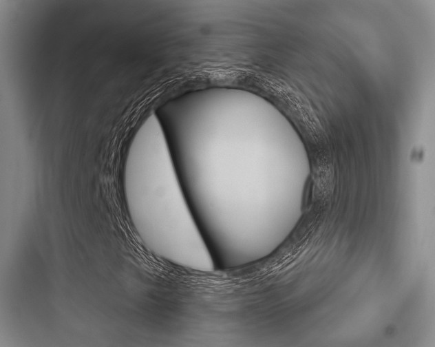 X0000097951249200803241010