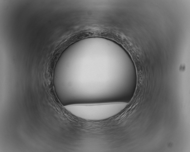 X0000097951253200803241010