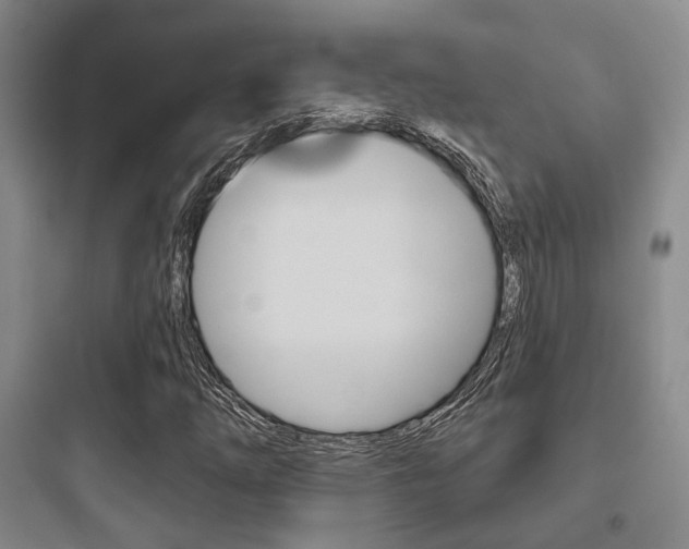 X0000097951254200803241010