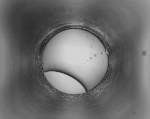 X0000097951255200803241010