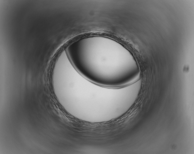 X0000097951256200803241010