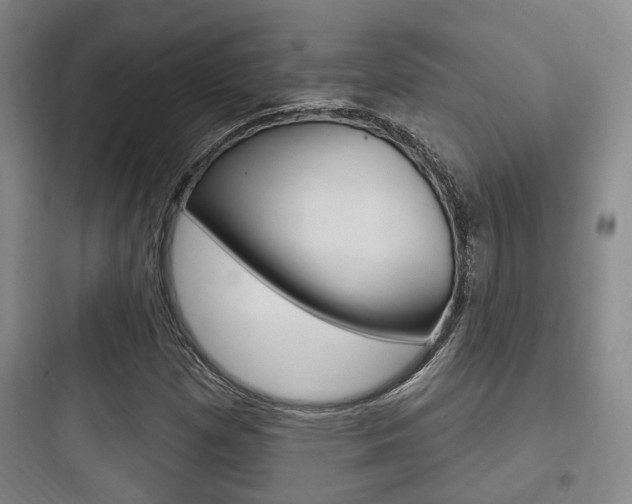 X0000097951257200803241010