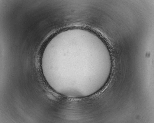 X0000097951258200803241010