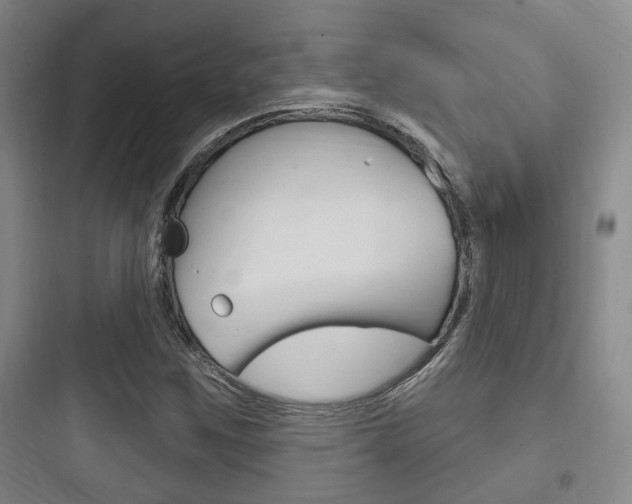 X0000097951259200803241010