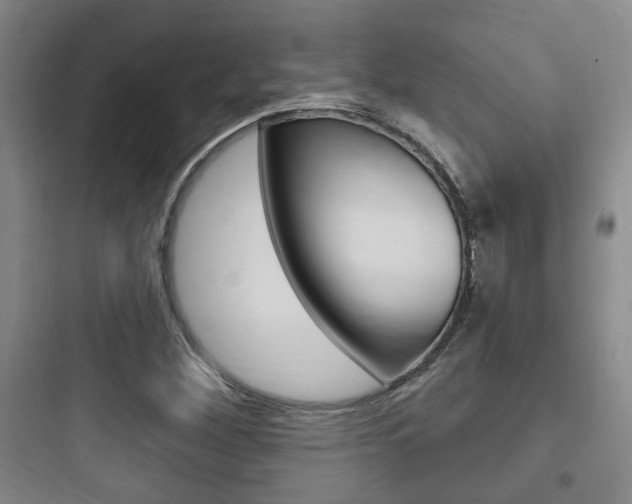 X0000097951260200803241010