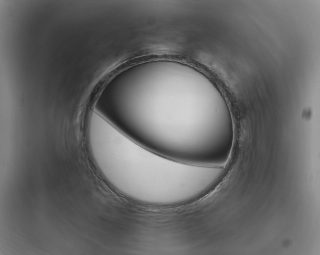 X0000097951261200803241010