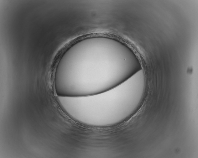 X0000097951262200803241010