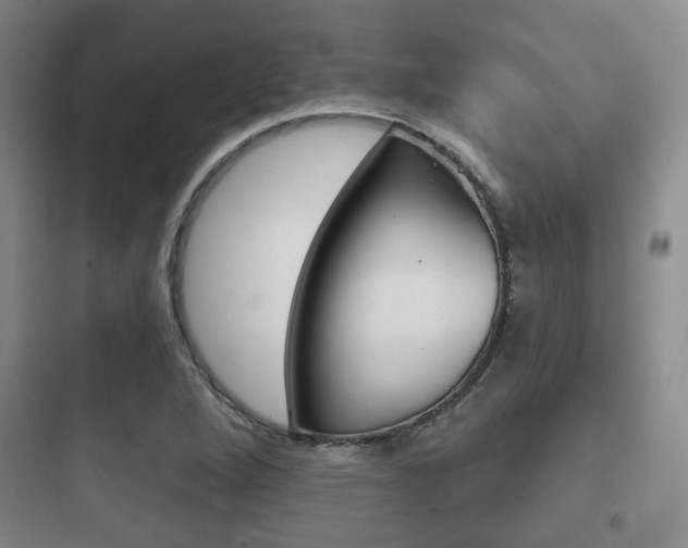 X0000097951264200803241010