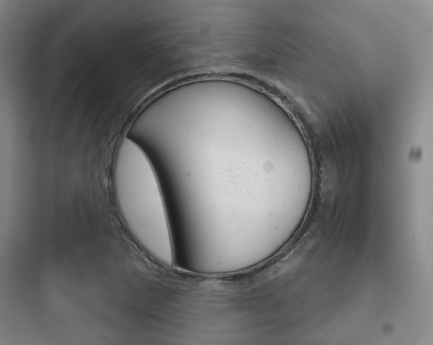 X0000097951265200803241010