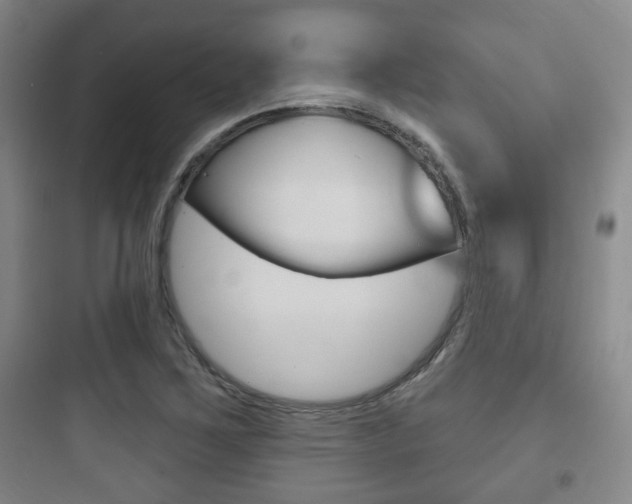 X0000097951267200803241010