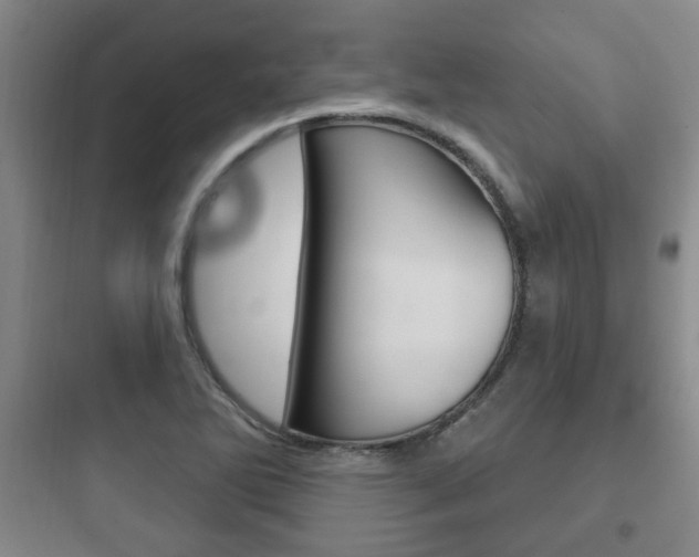X0000097951270200803241010