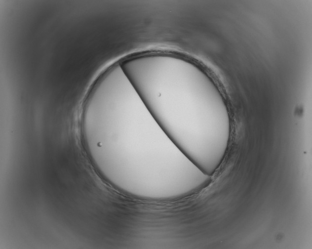 X0000097951271200803241010