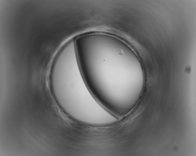 X0000097951272200803241010