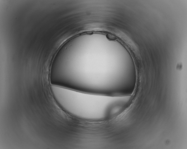 X0000097951273200803241010