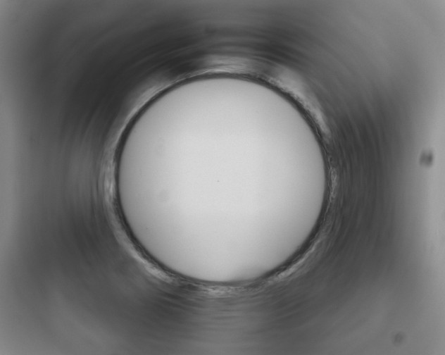 X0000097951274200803241010