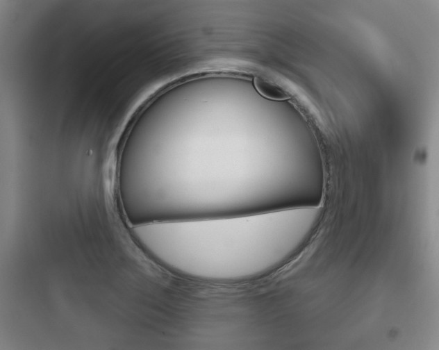 X0000097951275200803241010