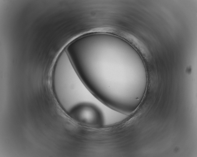 X0000097951276200803241010