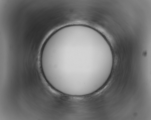 X0000097951278200803241010