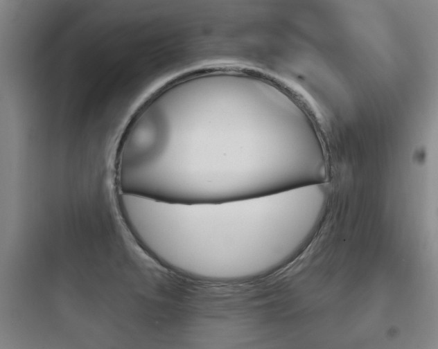 X0000097951279200803241010