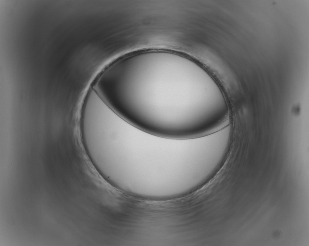 X0000097951280200803241010