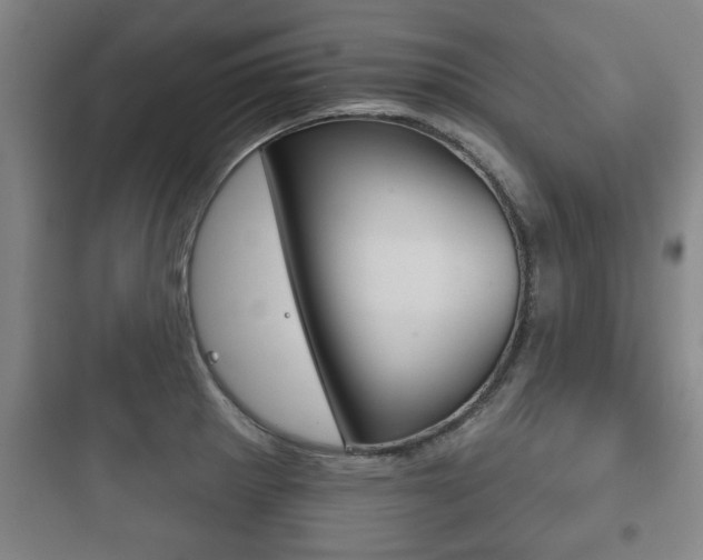 X0000097951281200803241010
