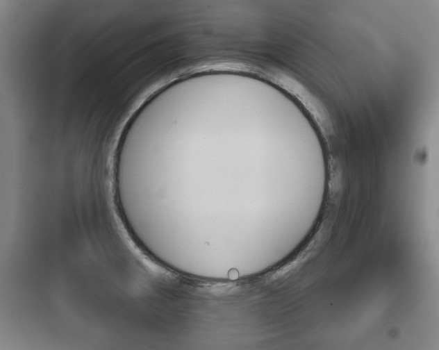 X0000097951282200803241010