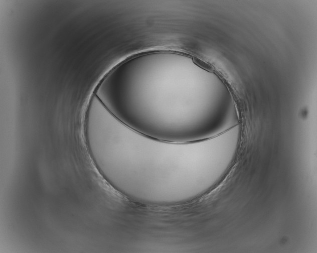 X0000097951284200803241010