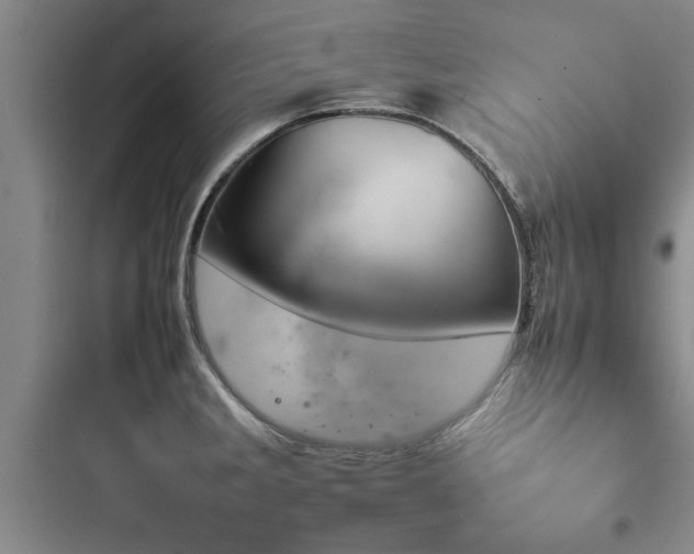 X0000097951285200803241010