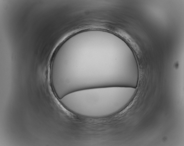 X0000097951286200803241010