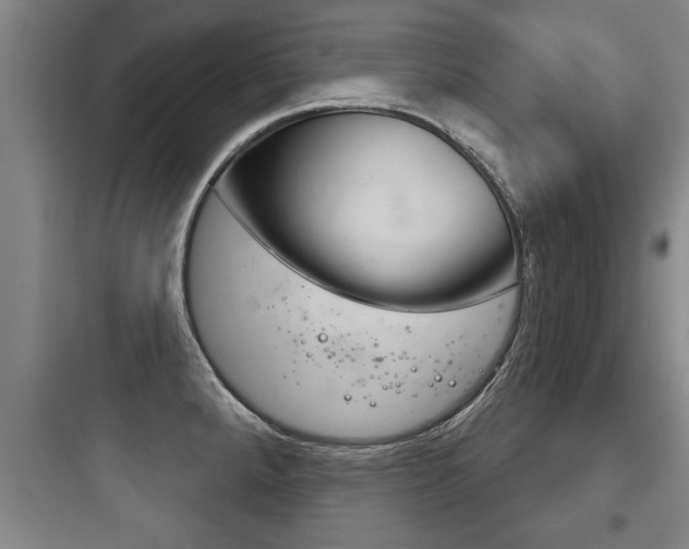 X0000097951288200803241010
