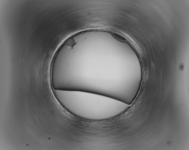 X0000097951291200803241010