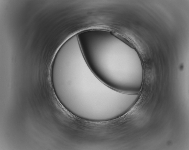 X0000097951292200803241010