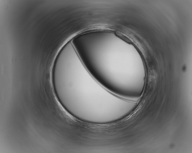 X0000097951293200803241010