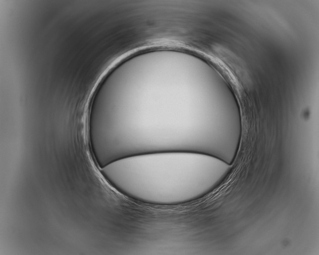 X0000097951295200803241010