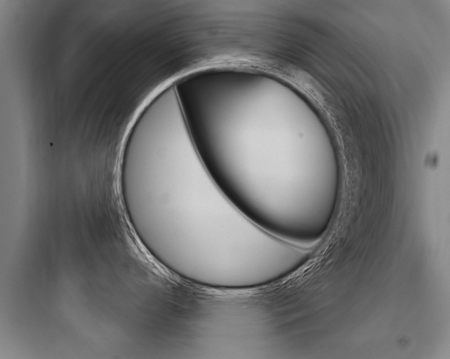 X0000097951296200803241010