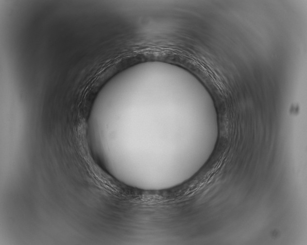 X0000097951297200803241009