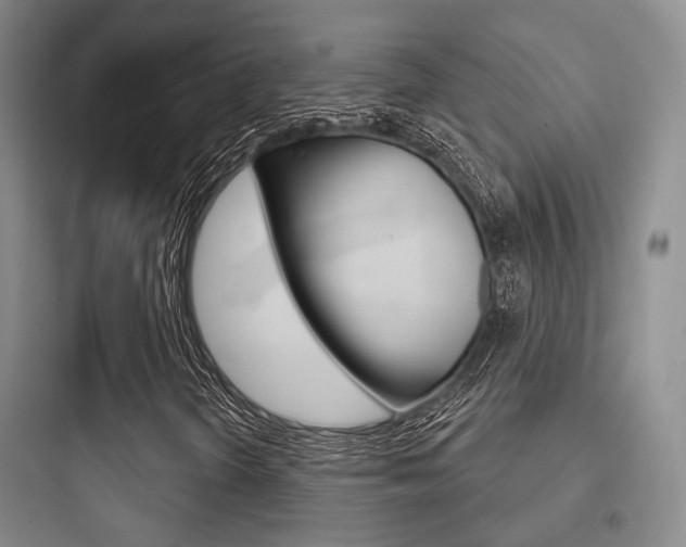 X0000097951298200803241009