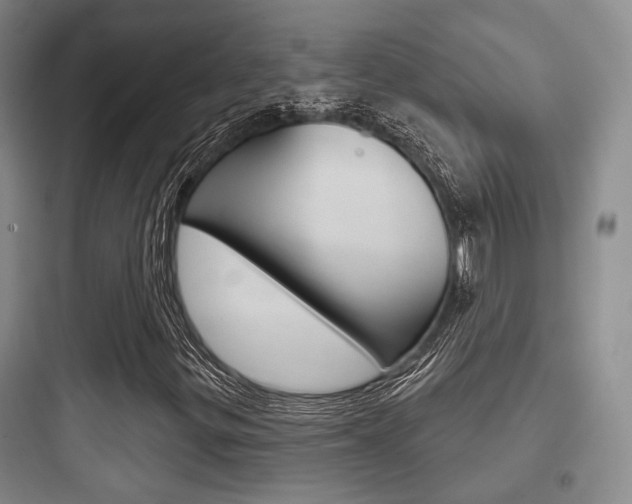 X0000097951299200803241009