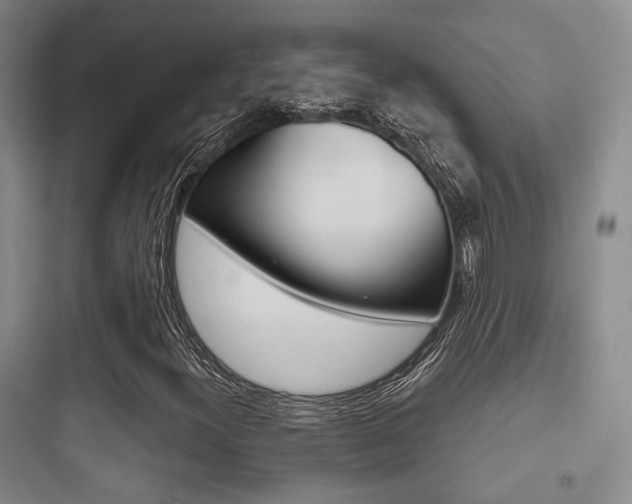 X0000097951300200803241009