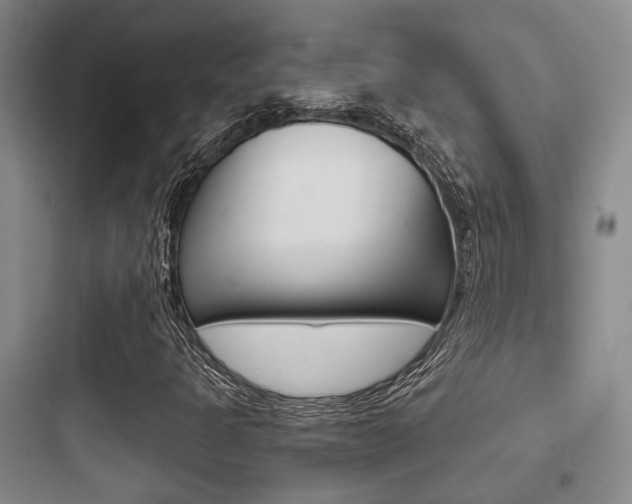 X0000097951301200803241009