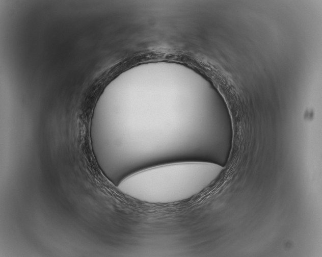 X0000097951302200803241009