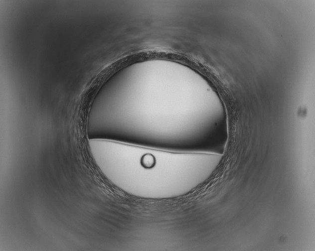 X0000097951303200803241009