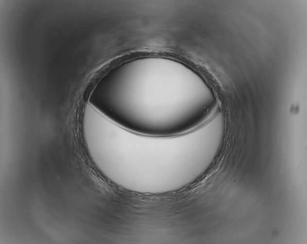 X0000097951304200803241009