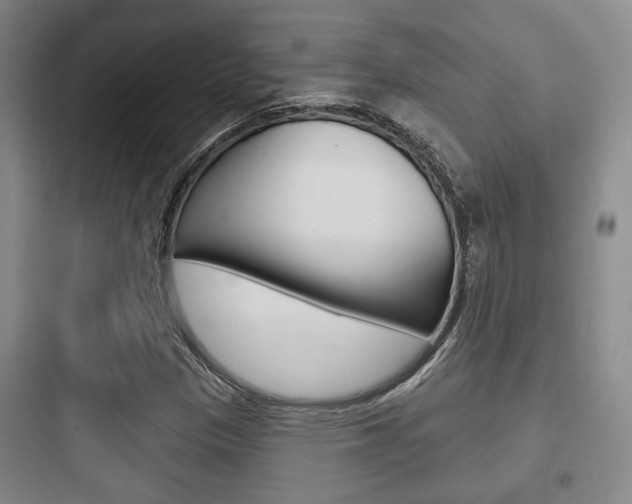 X0000097951305200803241009