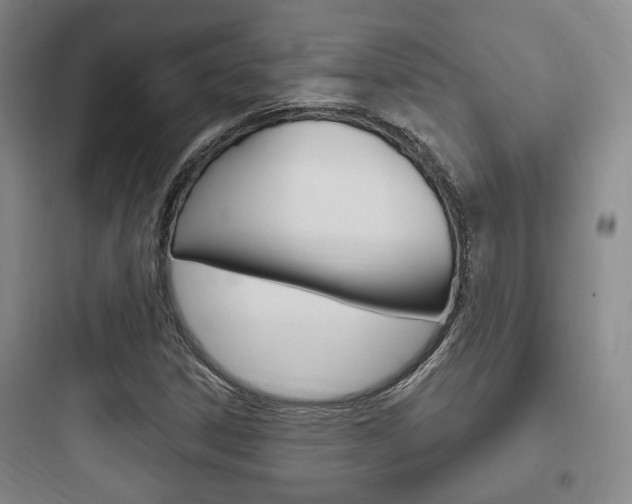 X0000097951306200803241009