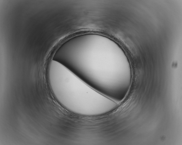 X0000097951307200803241009