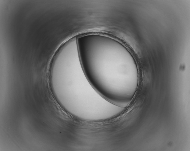 X0000097951308200803241009
