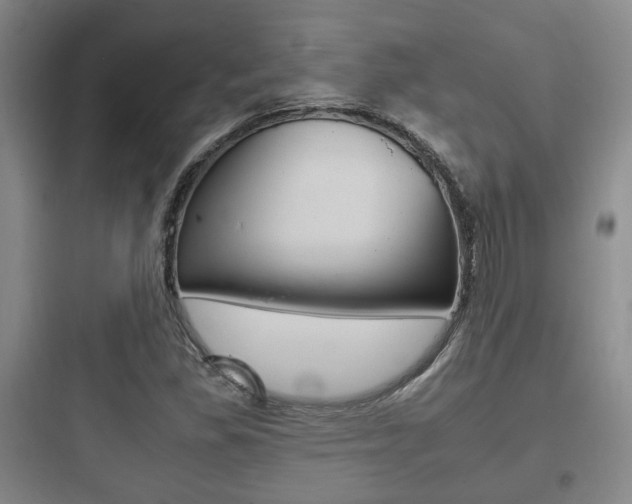X0000097951309200803241009
