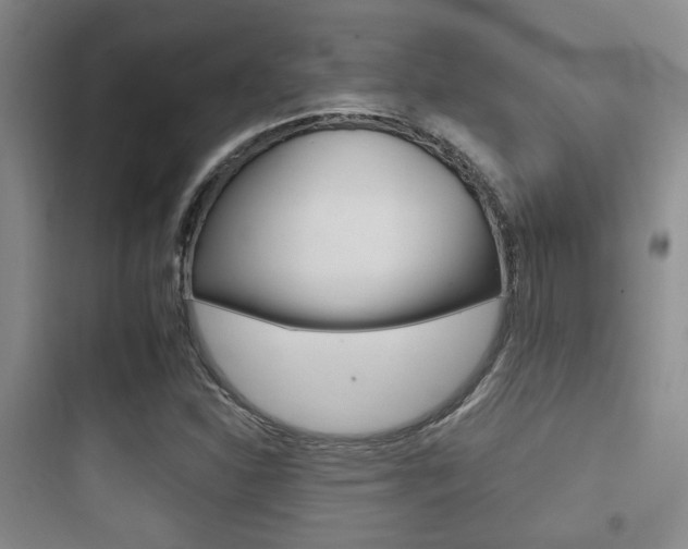 X0000097951310200803241009