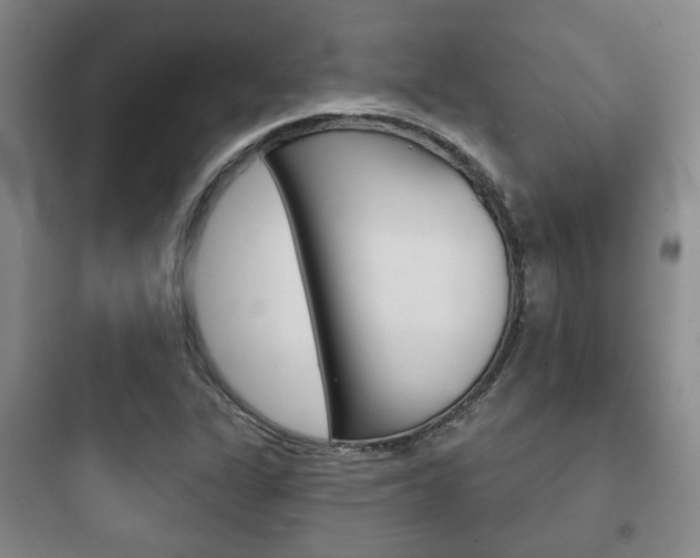X0000097951311200803241009